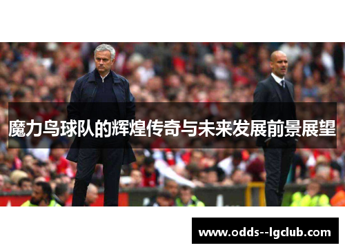 魔力鸟球队的辉煌传奇与未来发展前景展望