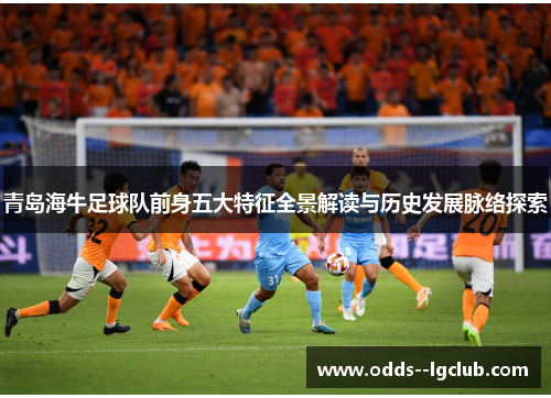 青岛海牛足球队前身五大特征全景解读与历史发展脉络探索 青岛海牛足球队前身五大特征全景解读与历史发展脉络探索